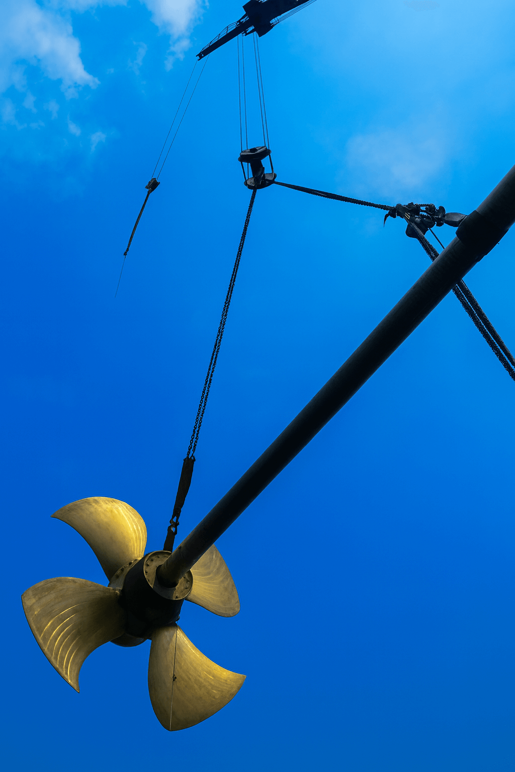 ChatGPT Image 2025年9月3日 13_24_43.png